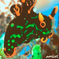 Paurro - Sea Bunny