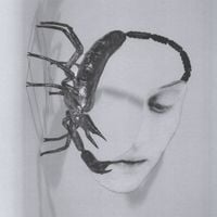 Tortoise - Touch