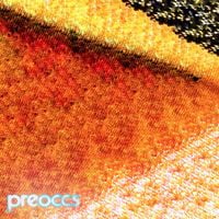 Preoccupations - MUR/PONR