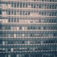 Rosales - To Live