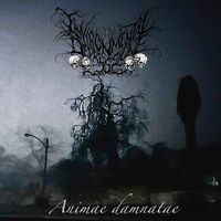 Environmental Depressione - Animae Damnatae