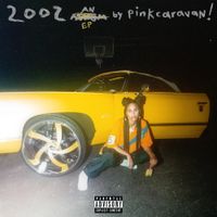 Pinkcaravan! - 2002