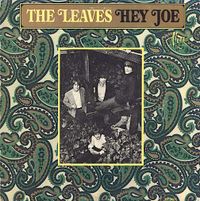 The Leaves - Hey Joe