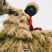 Joshua Raw - SASQUATCH
