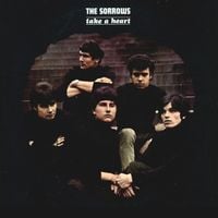 The Sorrows - Take a Heart