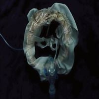 Ship Sket - InitiatriX
