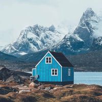 Gl&aring;sbird - Gr&oslash;nland