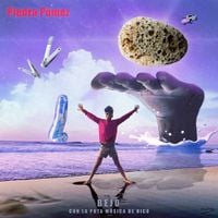 Bejo - Piedra P&oacute;mez