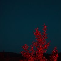 Nektar&lrm; - Faller