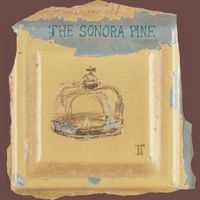 The Sonora Pine - II