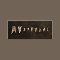 Pedestrian Deposit - Austere