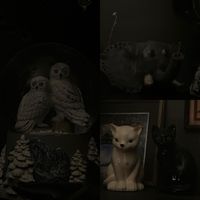 monkey experiment - JULIAN V.S. GOD