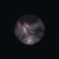 Cybertrash - SATELLITE