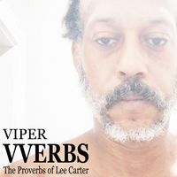 Viper - Vverbs: The Proverbs of Lee Carter