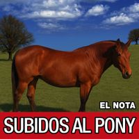 NOTA - SUBIDOS AL PONY