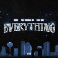 DRODi - EVERYTHING