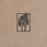 Frail - Sycamore