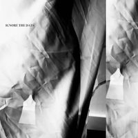 Micah P. Hinson - Ignore The Days