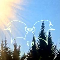 Toonamoji - Toonamoji