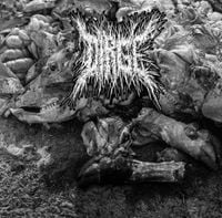 Dirge - Dirge