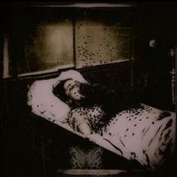 Nitheful - The Visions of the Flies