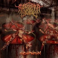 Aberrant Construct - Scaphism