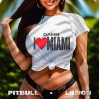 Pitbull - Damn I Love Miami