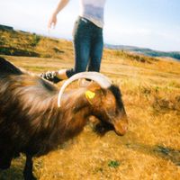Sahati - Për Kon