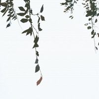 Rhucle - 霧が晴れたら
