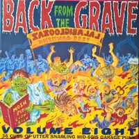 Various Artists - Back From The Grave Volume Eight