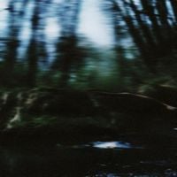 Adam Snebold - Twenty