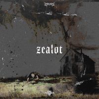 Code: Pandorum - Zealot