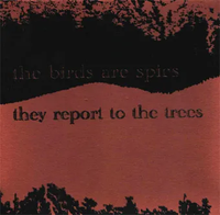 The Birds Are Spies, They Report To The Trees - The Birds Are Spies, They Report to the Trees