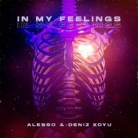 Alesso - In My Feelings
