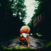 Alex Mali - The Jungle Book