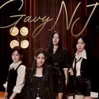 Gavy NJ - The Gavy NJ