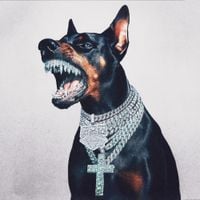 Connie Diiamond - Underdog Szn 2