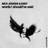 Mick Jenkins - Words I should&rsquo;ve Said