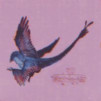 Precal Dropouts - Eagles Shall Prosper
