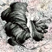 lical - Abyss Esthesia