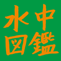水中図鑑 - ふれるところ、ささるとげ