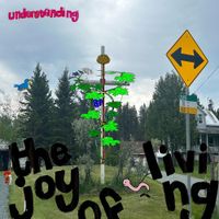 Understanding - the joy of living