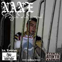 NANE - Pagini Din Jurnal