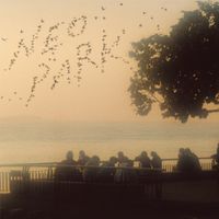 The Natsuyasumi Band - Neo Park