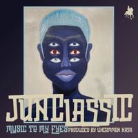 Junclassic - Music To My Eyes
