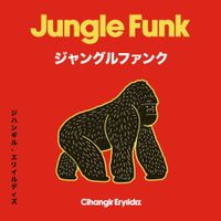 Cihangir Eryıldız - Jungle Funk