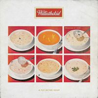 Willie The Kid - A Fly In The Soup