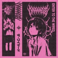 DΛRKNΣSS - ENTER TO THE WIRED