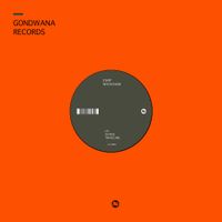 Chip Wickham - Astral Traveling