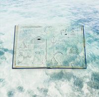 THE NOVEMBERS - Rhapsody in beauty